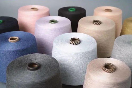 柯橋先行示范之路 瞄準“雙碳”目標，加速綠色轉型推動共同富裕