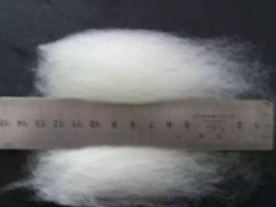 化纖世界入門 認(rèn)識衣物背后的化學(xué)纖維基本概念與代號